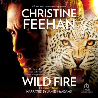 Wild Fire - Christine Feehan