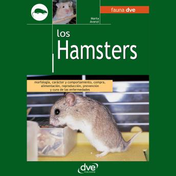 [Spanish] - Los hamsters