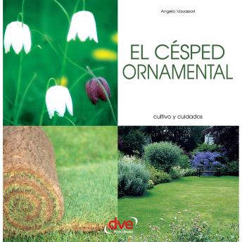 [Spanish] - El césped ornamental