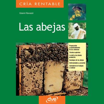[Spanish] - Las abejas