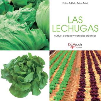 [Spanish] - Las lechugas - cultivo, cuidado y condejos prácticos
