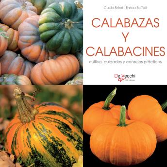 [Spanish] - Calabazas y calabacines - cultivo, cuidados y condejos prácticos
