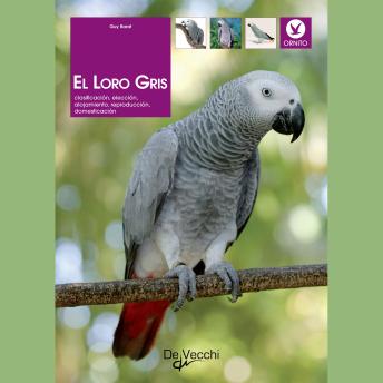 [Spanish] - El loro gris