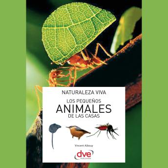 [Spanish] - Los pequeños animales de las casas