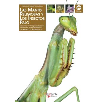 [Spanish] - La mantis religiosa y los insectos palo