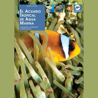 [Spanish] - El acuario tropical de agua marina
