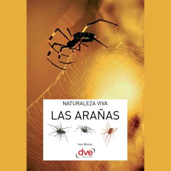 [Spanish] - Las arañas