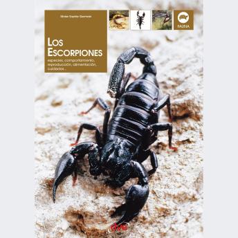 [Spanish] - Los escorpiones
