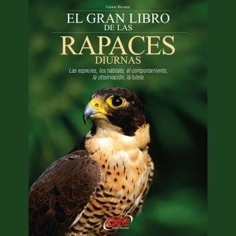 [Spanish] - El gran libro de las rapaces diurnas