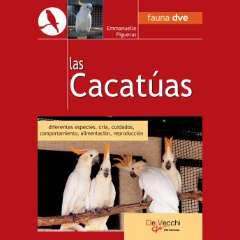 [Spanish] - Las Cacatúas