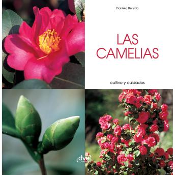 [Spanish] - Las camelias - Cultivo y cuidados: Manual ilustrado para cultivar camelias sanas, reproducirlas y protegerlas de plagas