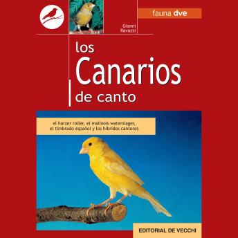 [Spanish] - Los canarios de canto: el harzer roller, el malinois waterslager, el timbrado español y los híbridos cantores