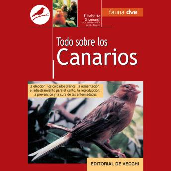 [Spanish] - Todo sobre canarios