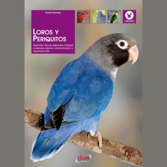[Spanish] - Loros y periquitos