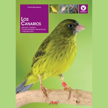 [Spanish] - Los canarios. Elección, cuidado, comportamiento, alimentación y reproducción