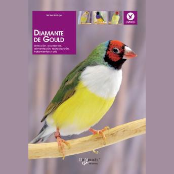 [Spanish] - Diamante de Gould