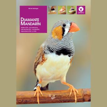 [Spanish] - Diamante mandarín