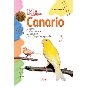 [Spanish] - Mi... Canario