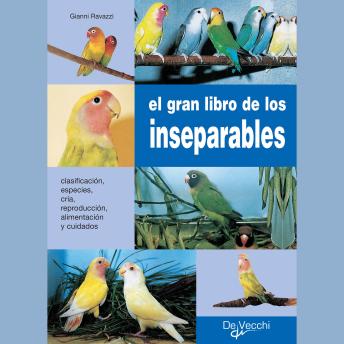 [Spanish] - El gran libro de los inseparables