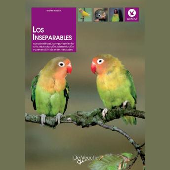 [Spanish] - Los inseparables