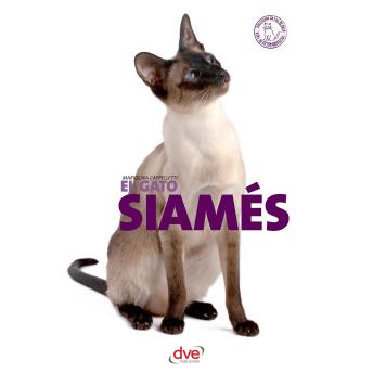 [Spanish] - El gato siamés