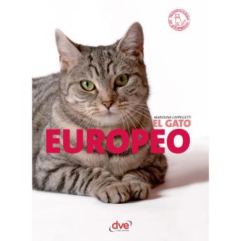 [Spanish] - El gato Europeo