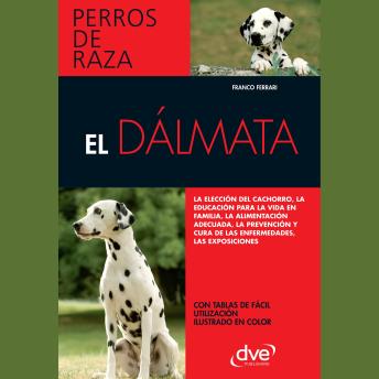 [Spanish] - El dálmata