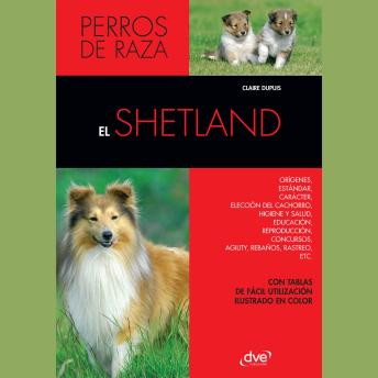 [Spanish] - El Shetland