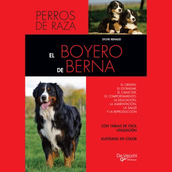 [Spanish] - El boyero de Berna