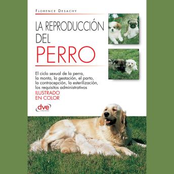 [Spanish] - La reproducción del Perro: Aspectos anatómicos, fisiológicos y prácticos para gestionar la reproducción canina con éxito