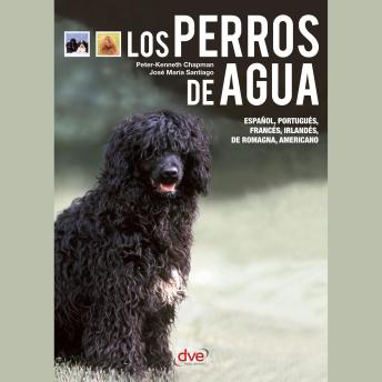 [Spanish] - Los perros de agua - El perro de Obama