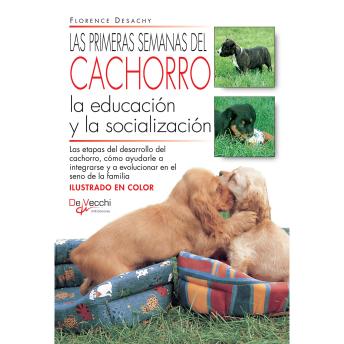 [Spanish] - Las primeras semanas del cachorro