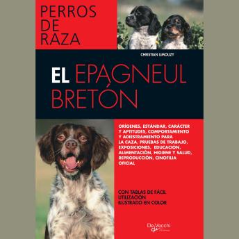 [Spanish] - El Épagneul Bretón