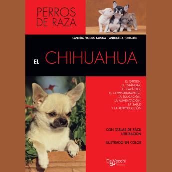 [Spanish] - El chihuahua