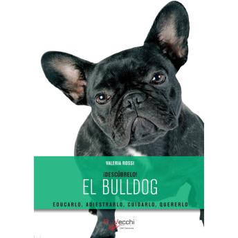 [Spanish] - El bulldog