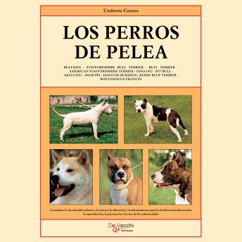 [Spanish] - Los perros de pelea