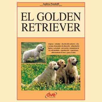 [Spanish] - El golden retriever: Orígenes - estándar - elección del cachorro - cría y normas elementales de educación - alimentación higiene
