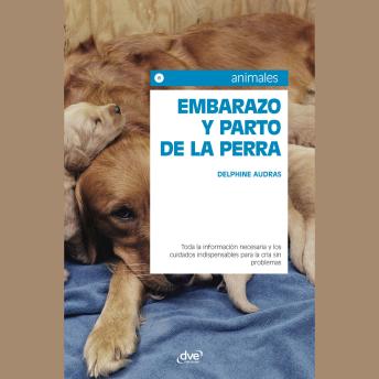 [Spanish] - Embarazo y parto de la perra