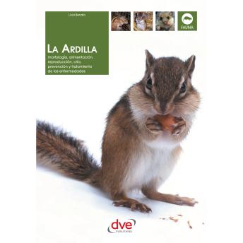 [Spanish] - La ardilla