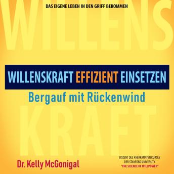 [German] - Bergauf mit Rückenwind - Willenskraft effizient einsetzen (Ungekürzt)
