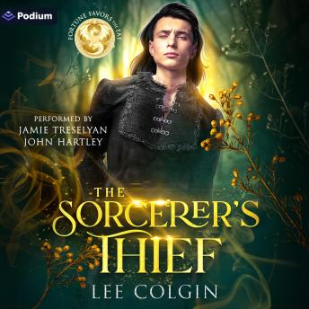 The Sorcerer's Thief: A Fortune Favors the Fae Standalone