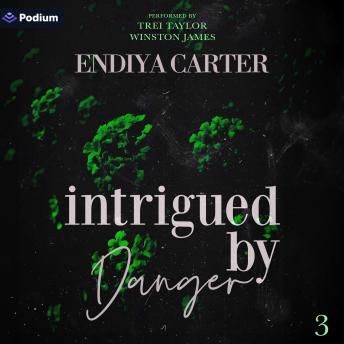 Intrigued by Danger: The Danger Family, Book 3