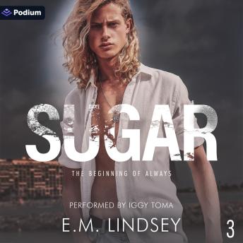 Sugar: The Beginning of Always, Book 3