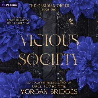 Vicious Society: The Obsidian Order, Book 2