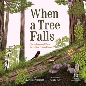 When a Tree Falls: Nurse Logs and Their Incredible Forest Power