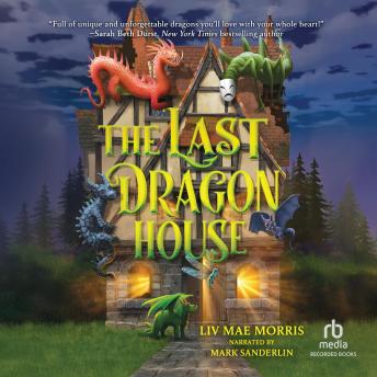 The Last Dragon House: A Novel