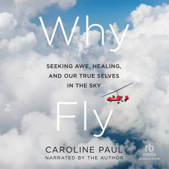 Why Fly: Seeking Awe, Healing, and Our True Selves in the Sky