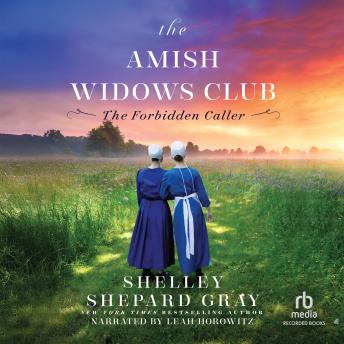 The Forbidden Caller: Amish Fiction for Your Book Club with Single Parents and Second Chance Love set in Lancaster County