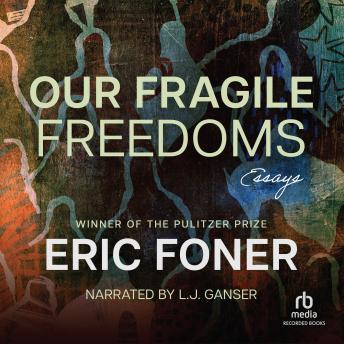 Our Fragile Freedoms: Essays