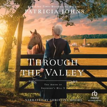 Through the Valley: Amish Christian Fiction About Tradition, Community, Family Secrets, and an Inheritance